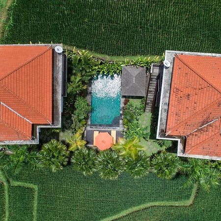 Cenik Villa Ubud ภายนอก รูปภาพ