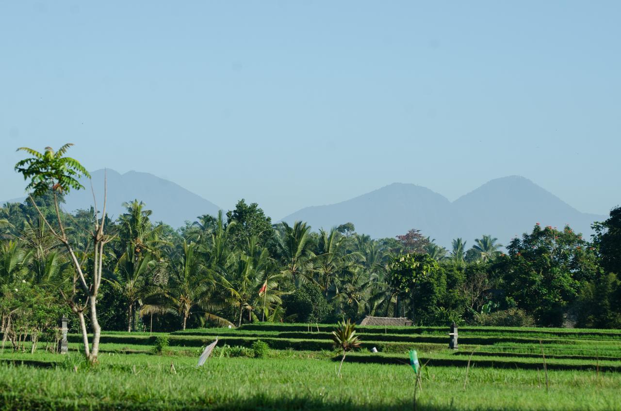 Cenik Villa Ubud ภายนอก รูปภาพ
