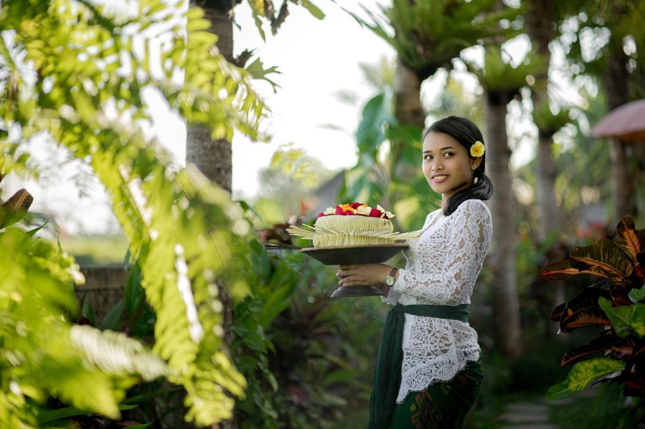 Cenik Villa Ubud ภายนอก รูปภาพ