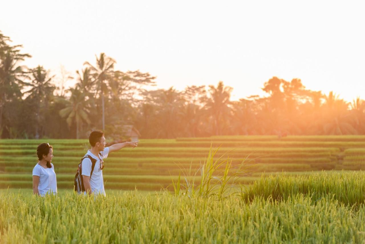 Cenik Villa Ubud ภายนอก รูปภาพ