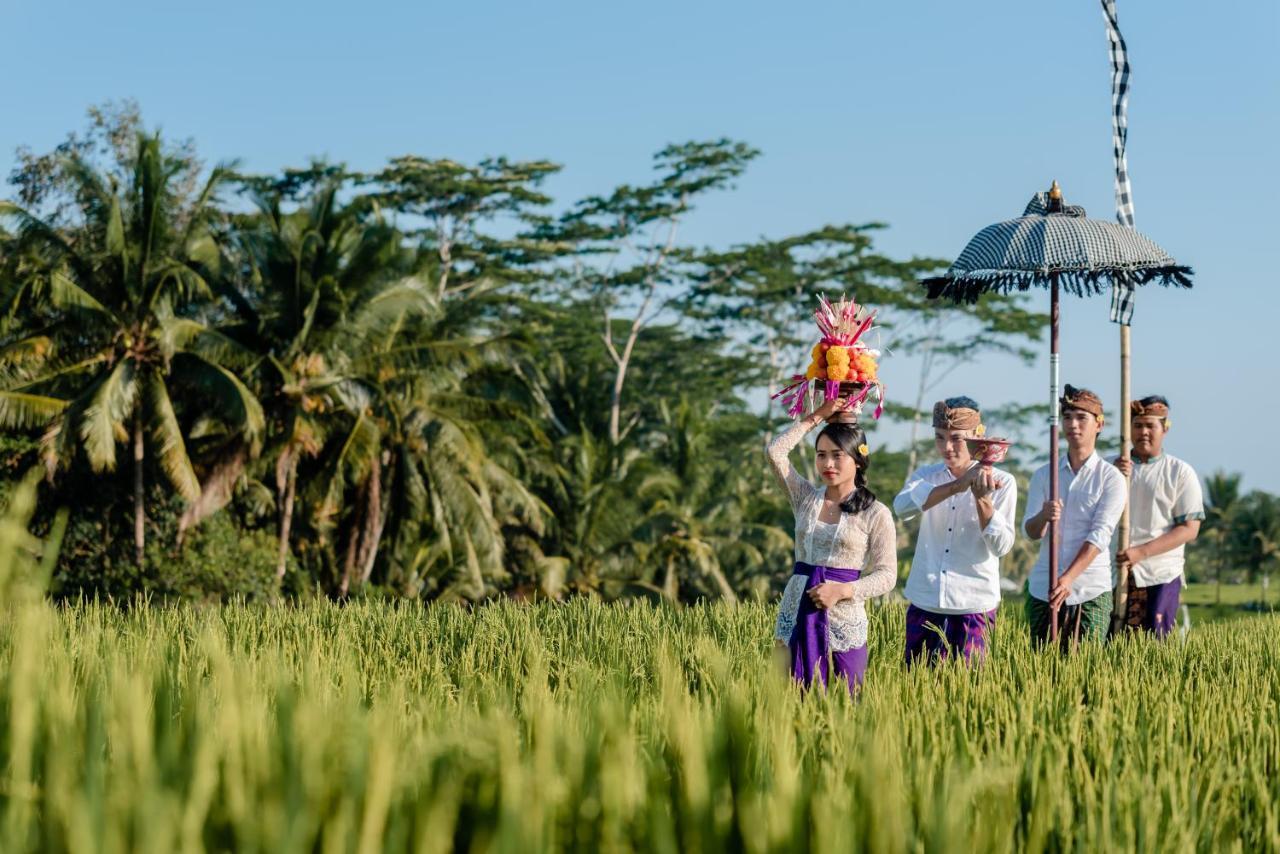 Cenik Villa Ubud ภายนอก รูปภาพ